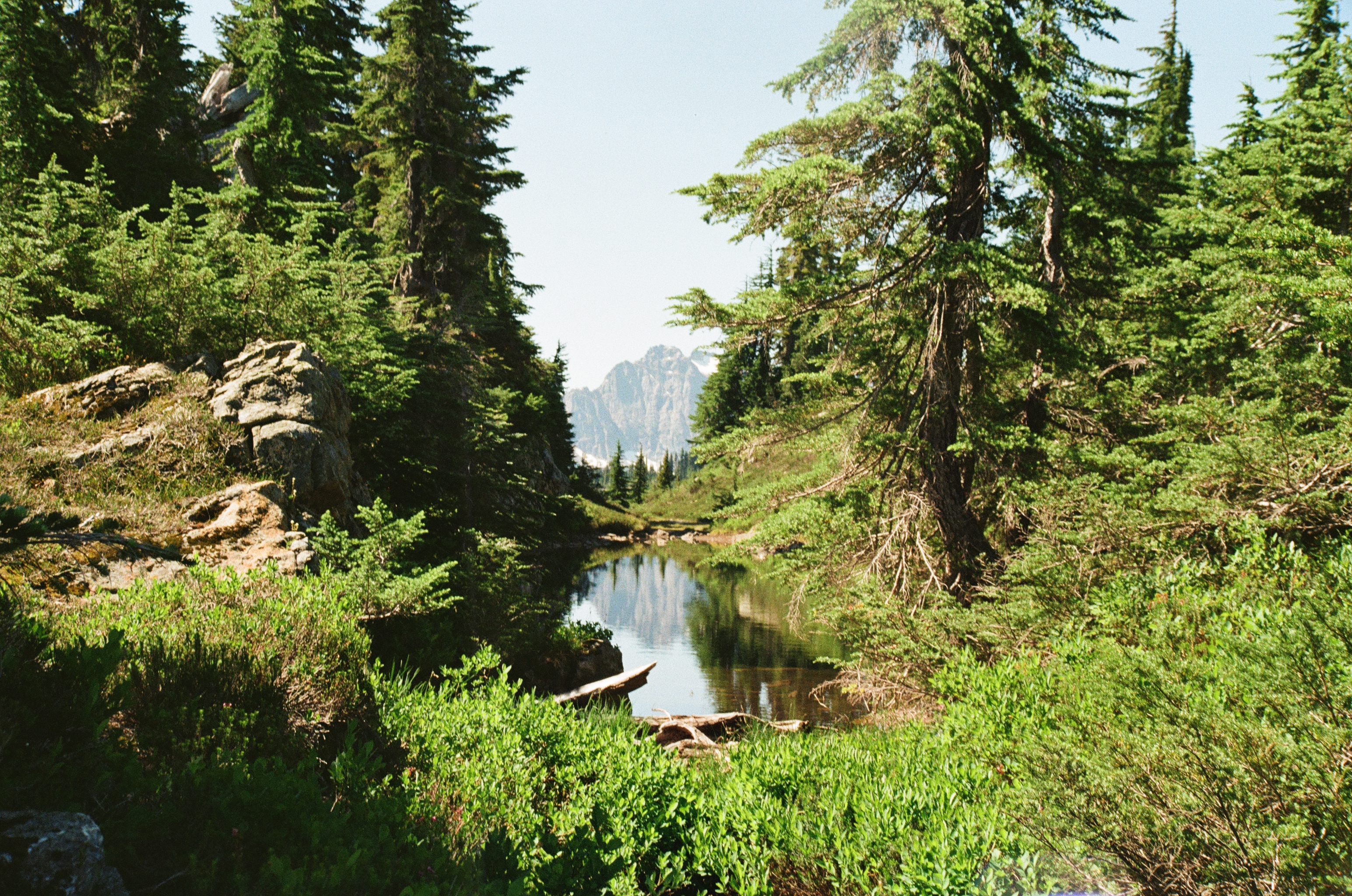 Pond